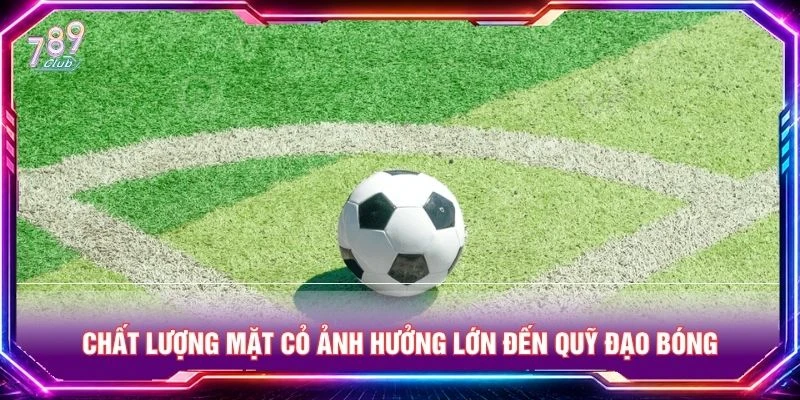 Chất lượng mặt cỏ ảnh hưởng lớn đến quỹ đạo bóng Chất lượng mặt cỏ ảnh hưởng lớn đến quỹ đạo bóng
