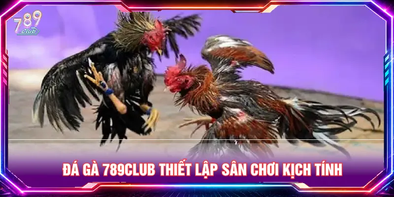 Đá gà 789CLUB được ưa chuộng với các trận đấu hấp dẫn
