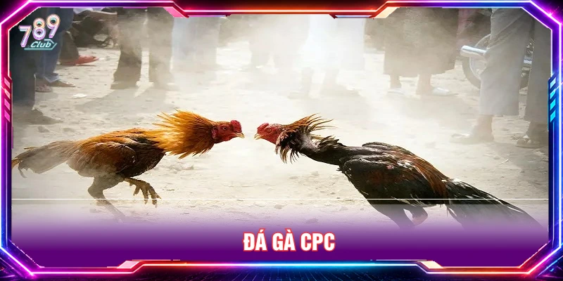 Đá gà CPC