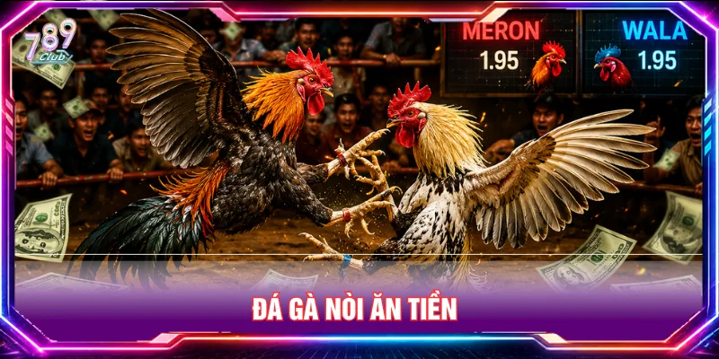 Đá gà nòi ăn tiền