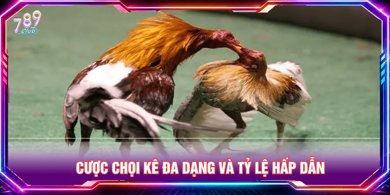Hình thức cược đá gà 789CLUB tối ưu chiến thuật chơi