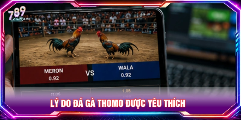 Lý do đá gà Thomo được nhiều bet thủ yêu thích