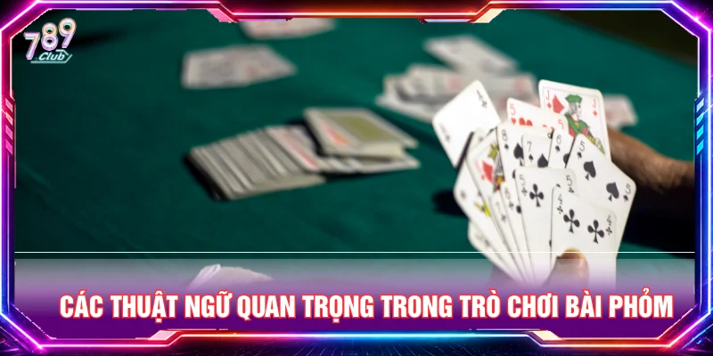 Những thuật ngữ chơi bài phỏm cần nhớ