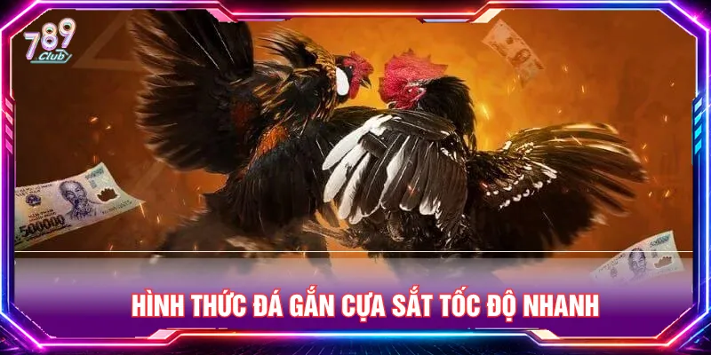 Thể loại chọi cựa sắt mang lại nhịp độ nhanh chóng